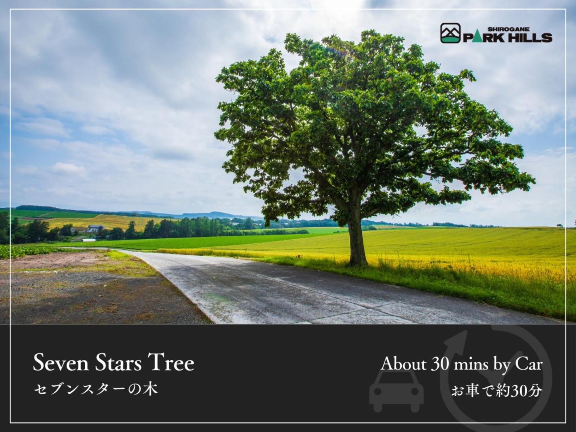 Biei Shirogane Onsen Hotel Park Hills Exterior photo